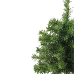 Northlight 18" Medium Canadian Pine Artificial Christmas Tree - Unlit -Twinkly Popular Shop 1dgizfmmwt8nkfrnll4q00mjuqkbwkfq 20469.1588356260