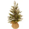 18" Potted Glitter Pine Full Artificial Christmas Tree - Unlit -Twinkly Popular Shop 21hv27yhppkbvy1vbhu7vl52zxxlawhj 90220.1588397435