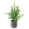 Northlight 12" Potted Medium Artificial Pine Christmas Tree - Unlit 2 Northlight 12" Potted Medium Artificial Pine Christmas Tree - Unlit -Twinkly Popular Shop 5hip95ydsnqwl35ipyuiki9d00xcj5de 85753.1588359030