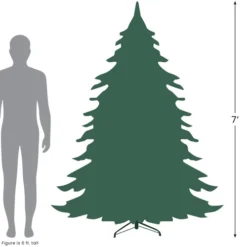 Northlight 7' Full Snowy Delta Pine With Cones Artificial Christmas Tree, Unlit -Twinkly Popular Shop 727 96568.1684933684