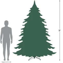 Northlight 9' Slim Washington Frasier Fir Artificial Christmas Tree, Unlit -Twinkly Popular Shop 927 98424.1684933382