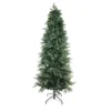 Northlight 9' Slim Washington Frasier Fir Artificial Christmas Tree, Unlit