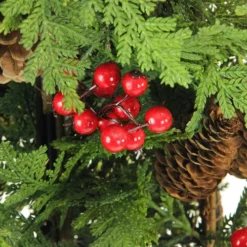 5' Slim Mixed Cedar Pine Entryway Artificial Christmas Tree - Unlit -Twinkly Popular Shop cfyznzqotrg1zrz5gl3npctgqlvsivne 86689.1588397242