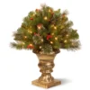 Christmas Central 2' Pre-lit Crestwood Spruce Porch Bush Artificial Christmas Tree, Clear Lights 1 Christmas Central 2' Pre-lit Crestwood Spruce Porch Bush Artificial Christmas Tree, Clear Lights -Twinkly Popular Shop cw7 300 24p 67330.1587644017