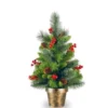 Christmas Central 2' Potted Crestwood Spruce Artificial Christmas Tree – Unlit 2 Christmas Central 2' Potted Crestwood Spruce Artificial Christmas Tree – Unlit -Twinkly Popular Shop cw7 701 20 04176.1588344960