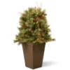 36” Pre-lit Glistening Pine Porch Bush With Clear Lights -Twinkly Popular Shop dnat20gn19 36tlo 53585.1588348970
