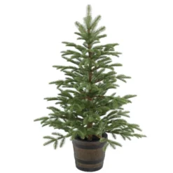 Christmas Central 4' Potted Norwegian Spruce Entrance Artificial Christmas Tree, Unlit