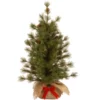 Christmas Central 3' Slim Bristle Cone Pine Burlap Base Artificial Christmas Tree - Unlit