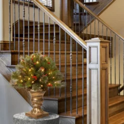 Christmas Central 2' Pre-lit Crestwood Spruce Porch Bush Artificial Christmas Tree, Clear Lights 6 Christmas Central 2' Pre-lit Crestwood Spruce Porch Bush Artificial Christmas Tree, Clear Lights -Twinkly Popular Shop dnat cw7 300 24p 2 26584.1631810848