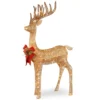 Christmas Central 48" Champagne Gold And Red Pre-lit Standing Reindeer Christmas Decoration - White LED Lights -Twinkly Popular Shop dnat df 105010u 1 22079.1587645161