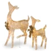 Christmas Central Set Of 2 LED Lighted Champagne Gold Fawn With Doe Outdoor Christmas Decoration 38" 2 Christmas Central Set Of 2 LED Lighted Champagne Gold Fawn With Doe Outdoor Christmas Decoration 38" -Twinkly Popular Shop dnat df 105014u 30286.1587645161
