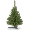 Christmas Central 3’ Kincaid Spruce Artificial Christmas Tree –Unlit -Twinkly Popular Shop dnat kcdr 30 1 1 65375.1631810850