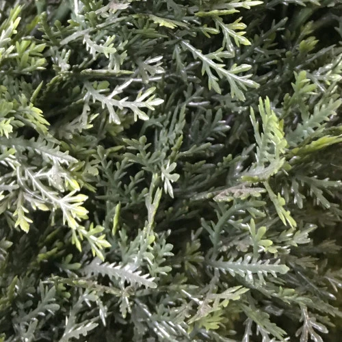 4' Potted Artificial Double Spiral Cedar Topiary Tree 5 4' Potted Artificial Double Spiral Cedar Topiary Tree - Image 3