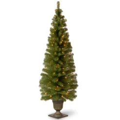 6' Pre-Lit Montclair Spruce Christmas Tree - Clear Lights