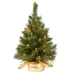 Christmas Central 2’ Pre-lit Potted Majestic Fir Tree Artificial Christmas Tree, Clear Lights
