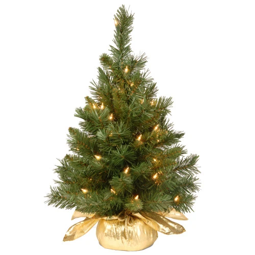 Christmas Central 2’ Pre-lit Potted Majestic Fir Tree Artificial Christmas Tree, Clear Lights 3 Christmas Central 2’ Pre-lit Potted Majestic Fir Tree Artificial Christmas Tree, Clear Lights