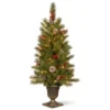 Christmas Central 4β Pre-Lit Potted Berry Entrance Christmas Tree, Clear Lights 1 Christmas Central 4β Pre-Lit Potted Berry Entrance Christmas Tree, Clear Lights -Twinkly Popular Shop dnat pebb3 306 40 1 93943.1631812347