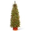 Christmas Central 6' Pre-Lit Potted Pencil Colonial Fir Artificial Christmas Half Wall Tree, Clear Lights 1 Christmas Central 6' Pre-Lit Potted Pencil Colonial Fir Artificial Christmas Half Wall Tree, Clear Lights -Twinkly Popular Shop dnat peco8 361 60ht 1 09317.1587645164