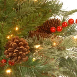 Christmas Central 6' Pre-Lit Potted Pencil Colonial Fir Artificial Christmas Half Wall Tree, Clear Lights -Twinkly Popular Shop dnat peco8 361 60ht 3 22849.1587645164