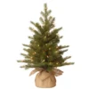 Christmas Central 2' Pre-Lit Potted Nordic Spruce Full Artificial Christmas Tree, White Lights -Twinkly Popular Shop dnat pens1 333 20 1 1 67750.1587645144