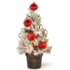 Christmas Central 2' Pre-Lit Potted Snowy Bristle Pine Medium Artificial Tabletop Christmas Tree, White LED Lights -Twinkly Popular Shop dnat snp7 308 20 b 17416.1665580040