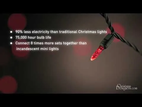 100 Light M5 Pure White LED Christmas Lights 4 100 Light M5 Pure White LED Christmas Lights - Image 2