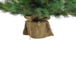 Northlight 3' Potted New Carolina Spruce Medium Artificial Christmas Tree - Unlit -Twinkly Popular Shop jgpo41pjmuyq7fyavzmwkjboouyif6kn 56164.1665610423