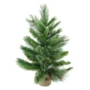 Northlight 2' Potted Mixed Cashmere Pine Medium Artificial Christmas Tree, Unlit -Twinkly Popular Shop kdishopfktf1gep6vvndqjuwathvudb8 99141.1665433297