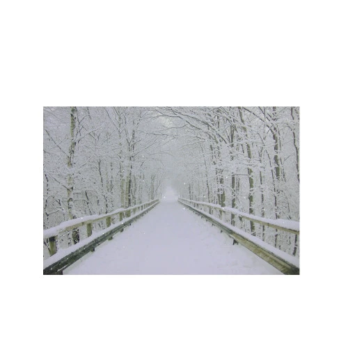 Northlight Small Fiber Optic Lighted Winter Wooden Bridge Canvas Wall Art 12" X 15.75" 3 Northlight Small Fiber Optic Lighted Winter Wooden Bridge Canvas Wall Art 12" X 15.75"