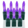 70 Light M5 Purple LED Christmas Lights -Twinkly Popular Shop m5 pu