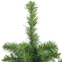 Northlight 2' Medium Canadian Pine Artificial Christmas Tree - Unlit -Twinkly Popular Shop mhje5yjgpkn8k0j1hp2054wuw02ltxzk 95068.1664551944