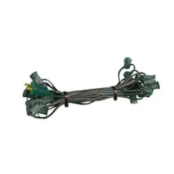 C7 Cord Green Wire 12" Spacing, 25', SPT-1
