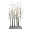 Northlight 4' LED Lighted White Twig Tree Cluster Outdoor Christmas Yard Art Decoration - 15-11350E-4 -Twinkly Popular Shop northlight20d2015 11350e 3 89304.1588362336