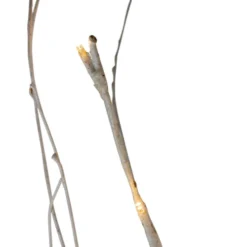 Northlight 4' LED Lighted White Twig Tree Cluster Outdoor Christmas Yard Art Decoration - 15-11350E-4 -Twinkly Popular Shop northlight20d2015 11350e 4 5 34843.1588362339