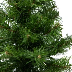 Northlight 18" Medium Blackwater Fir Artificial Christmas Tree - Unlit -Twinkly Popular Shop northlight b83529 03 13646.1692890720