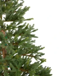 Northlight 6.5' North Pine Artificial Christmas Tree, Unlit -Twinkly Popular Shop northlight c584780 1 25514.1588371224