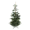 Northlight 9' Layered Nordmann Fir Artificial Christmas Tree - Unlit