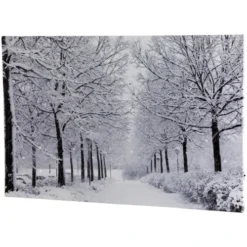 Northlight Fiber Optic Lighted Winter Lane Snowfall Christmas Canvas Wall Art 23.5" X 15.75"