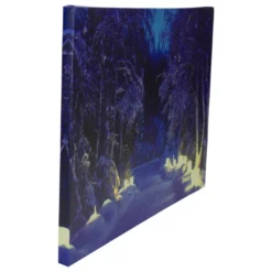 Northlight LED Lighted Nighttime In The Woods Winter Scene Canvas Wall Art 15.75" 11 Northlight LED Lighted Nighttime In The Woods Winter Scene Canvas Wall Art 15.75" -Twinkly Popular Shop northlight nj82847 4 78620.1665611029