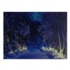Northlight LED Lighted Nighttime In The Woods Winter Scene Canvas Wall Art 15.75" -Twinkly Popular Shop northlight nj82847 updated 39631.1665611029