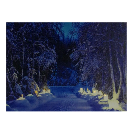 Northlight LED Lighted Nighttime In The Woods Winter Scene Canvas Wall Art 15.75" 3 Northlight LED Lighted Nighttime In The Woods Winter Scene Canvas Wall Art 15.75"