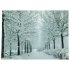 Northlight LED Lighted Fiber Optic Twinkling Snow Covered Tree Scene Canvas Wall Art 15.75" X 11.75" 2 Northlight LED Lighted Fiber Optic Twinkling Snow Covered Tree Scene Canvas Wall Art 15.75" X 11.75" -Twinkly Popular Shop northlight nj83099 1 98063.1664901054