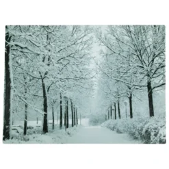 Northlight LED Lighted Fiber Optic Twinkling Snow Covered Tree Scene Canvas Wall Art 15.75" X 11.75"