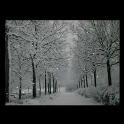 Northlight LED Lighted Fiber Optic Twinkling Snow Covered Tree Scene Canvas Wall Art 15.75" X 11.75" 9 Northlight LED Lighted Fiber Optic Twinkling Snow Covered Tree Scene Canvas Wall Art 15.75" X 11.75" -Twinkly Popular Shop northlight nj83099 onblack 21950.1664901054