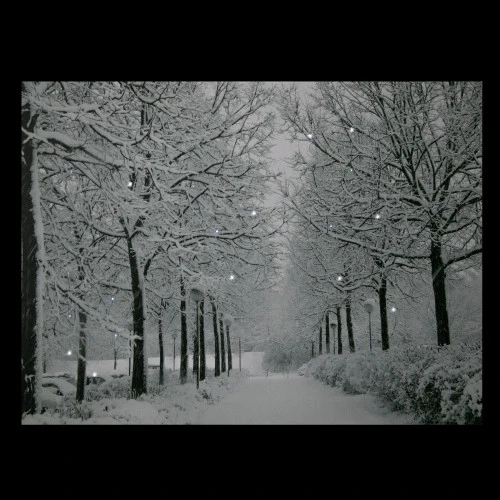 Northlight LED Lighted Fiber Optic Twinkling Snow Covered Tree Scene Canvas Wall Art 15.75" X 11.75" 5 Northlight LED Lighted Fiber Optic Twinkling Snow Covered Tree Scene Canvas Wall Art 15.75" X 11.75" - Image 3