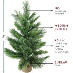 Northlight 2' Potted Mixed Cashmere Pine Medium Artificial Christmas Tree, Unlit -Twinkly Popular Shop northlight v03956 thumbnail 77437.1665433297