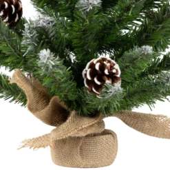 Northlight 24" Frosted Norway Pine With Pine Cones Medium Artificial Christmas Tree, Unlit -Twinkly Popular Shop northlight v03993 02 42601.1691247509