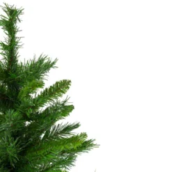 Northlight 24" Mixed Kateson Fir Medium Artificial Christmas Tree - Unlit -Twinkly Popular Shop northlight v03996 3 updated 04868.1628608992