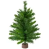 Northlight 24" Mixed Kateson Fir Medium Artificial Christmas Tree - Unlit -Twinkly Popular Shop northlight v03996 updated 04254.1628608990