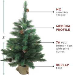 Northlight 3' Potted Royal Oregon Pine Burlap Base Full Artificial Christmas Tree - Unlit -Twinkly Popular Shop northlight v15919 thumbnail 85202.1665591527